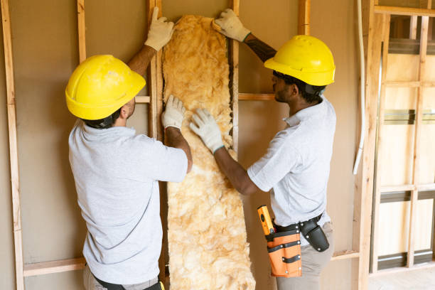 Best Basement Insulation  in Ironde, AL