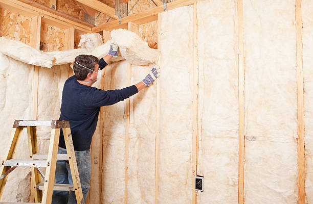 Best Spray Foam Insulation  in Ironde, AL